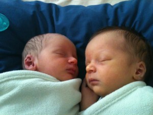 slightly larger itty bitty babies