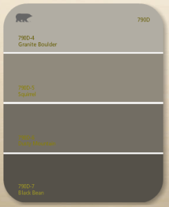 paint swatch