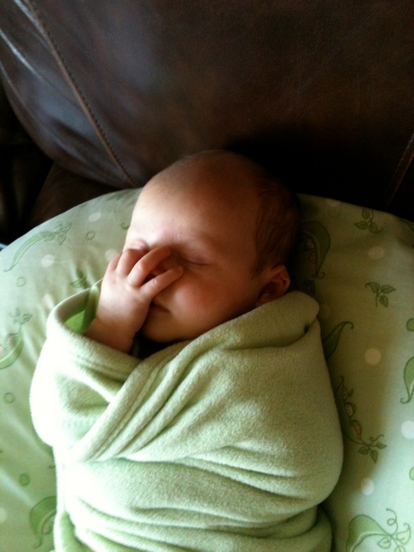 Eleanor dreams of octopus attack