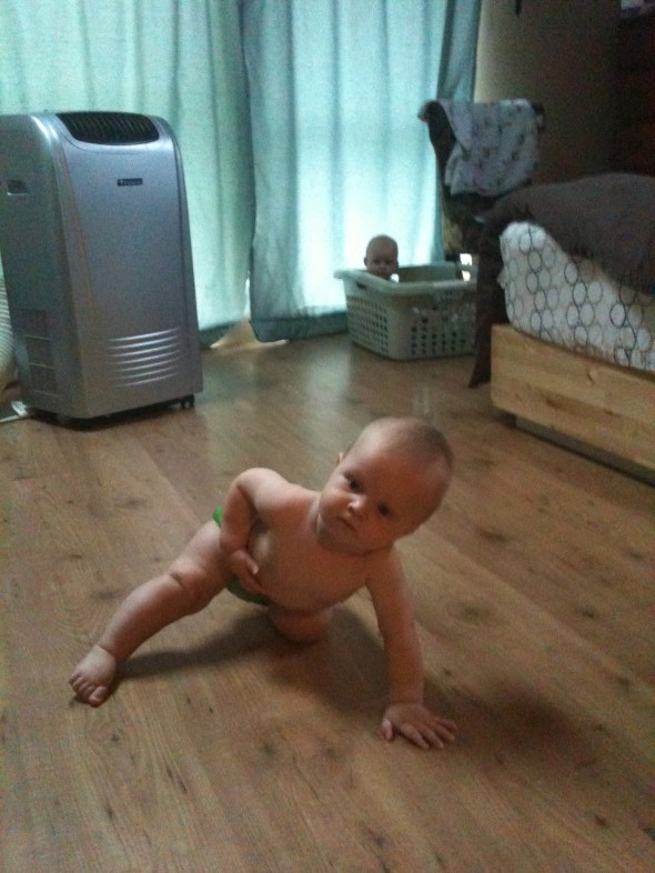 There are two babies in this photo