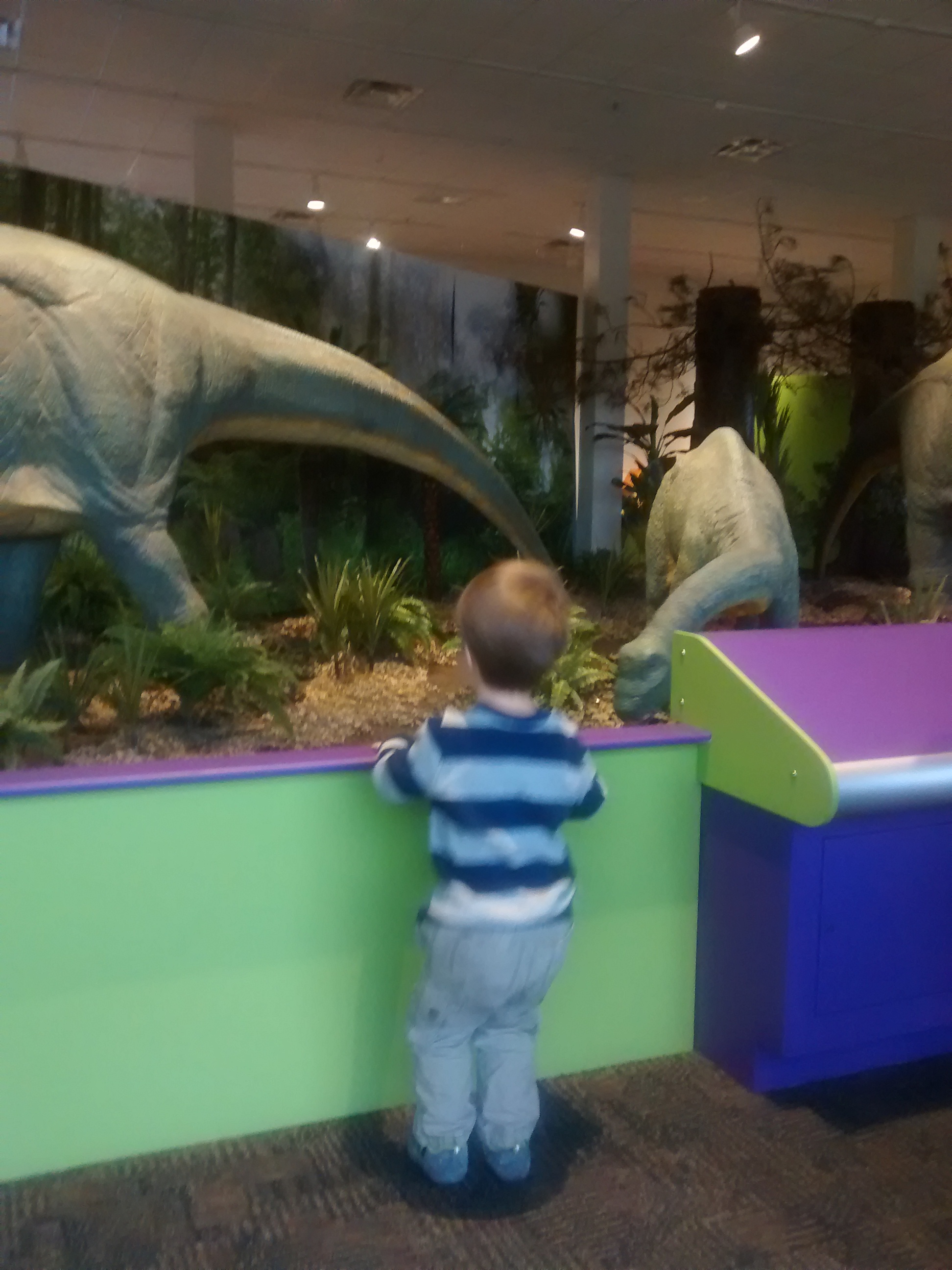 wp-1415579621986 image