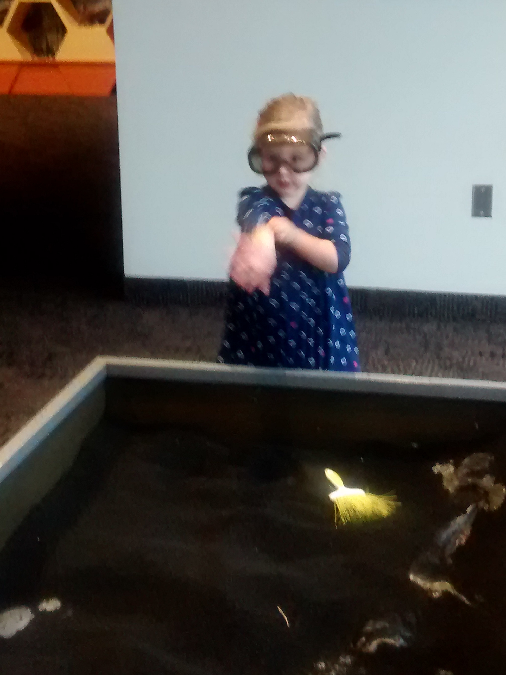 wp-1415579661466 image