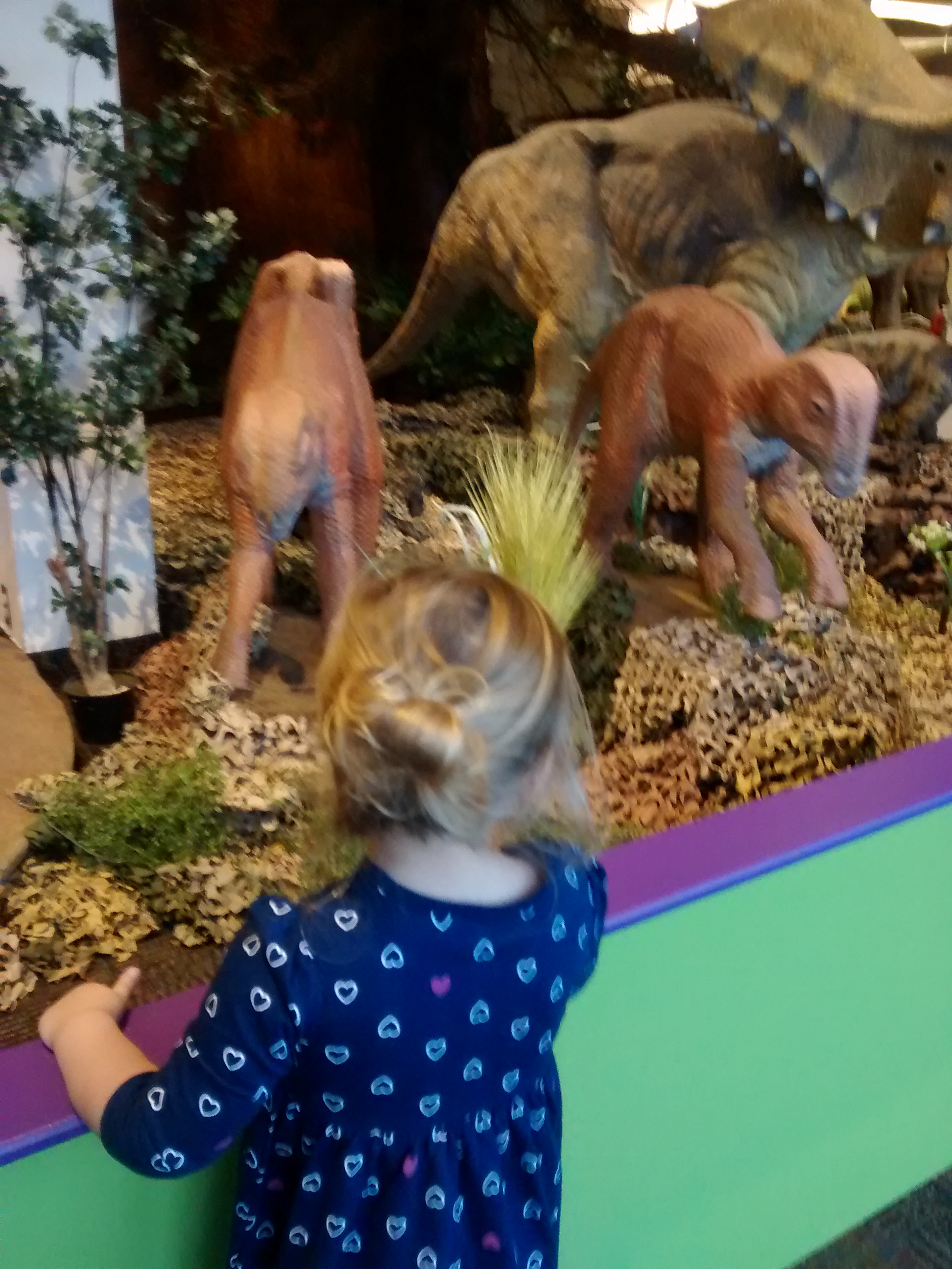 wp-1415579700530 image