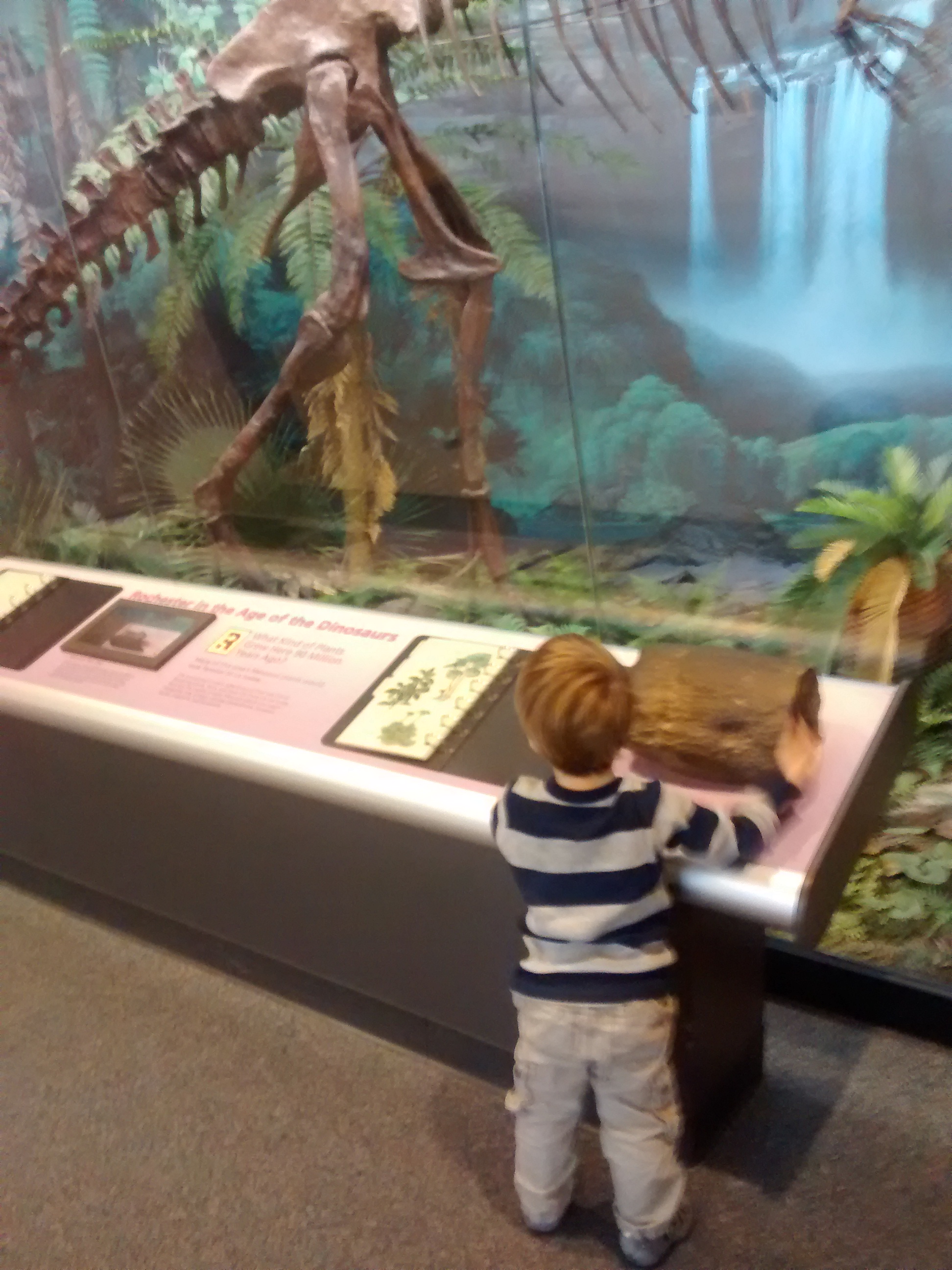 wp-1415579795811 image