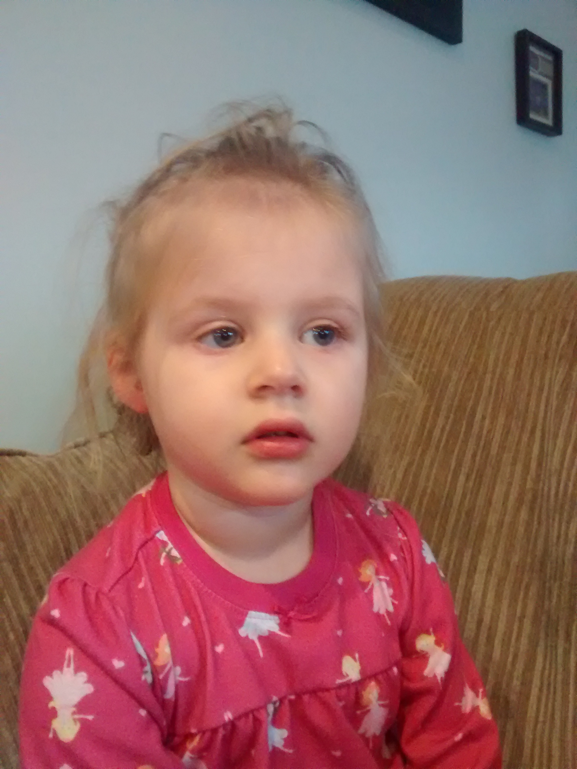 wp-1420227385900.jpg image