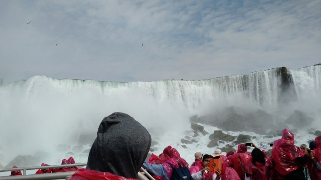 Horseshoe falls + people