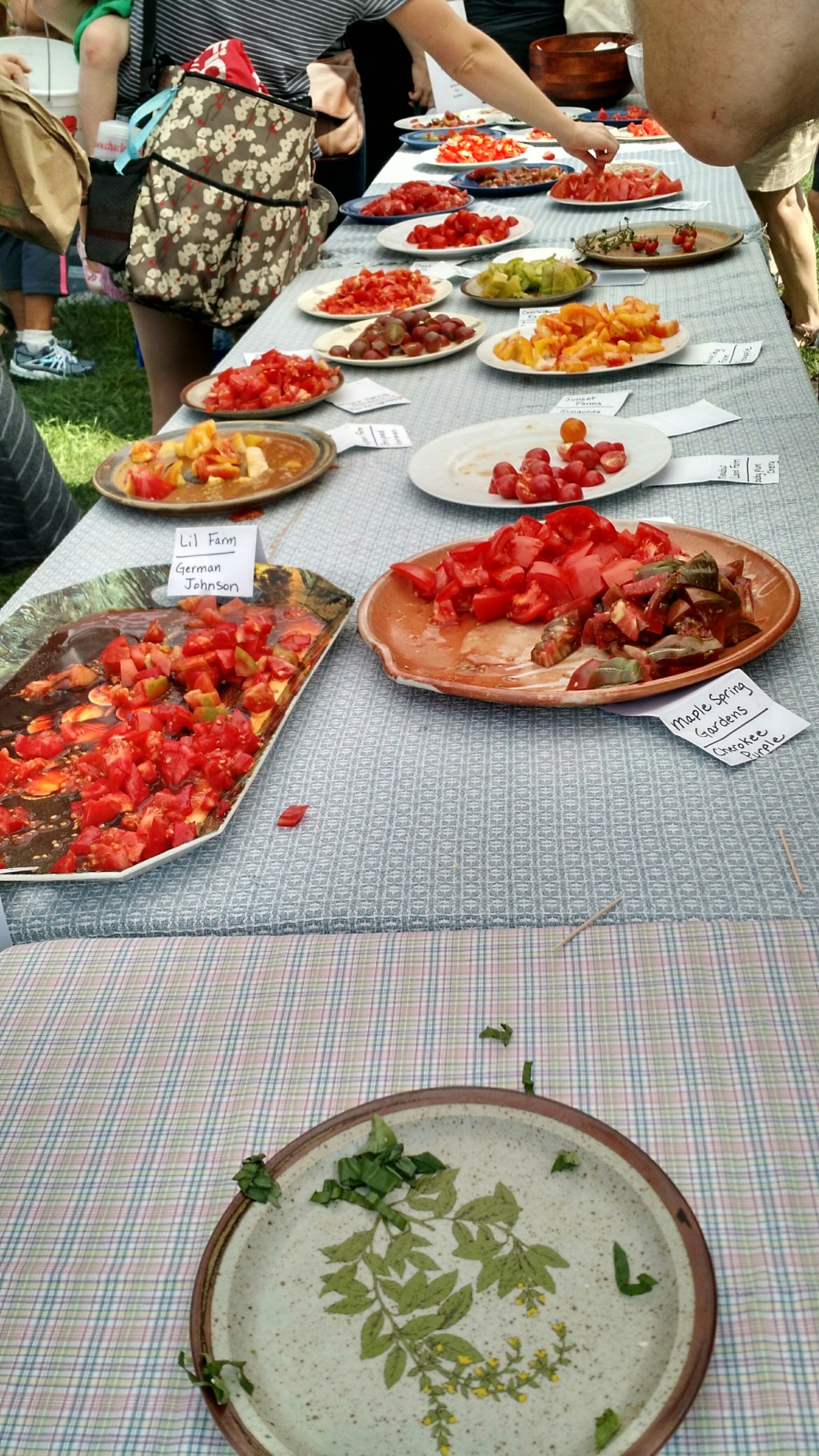 Tomato tasting