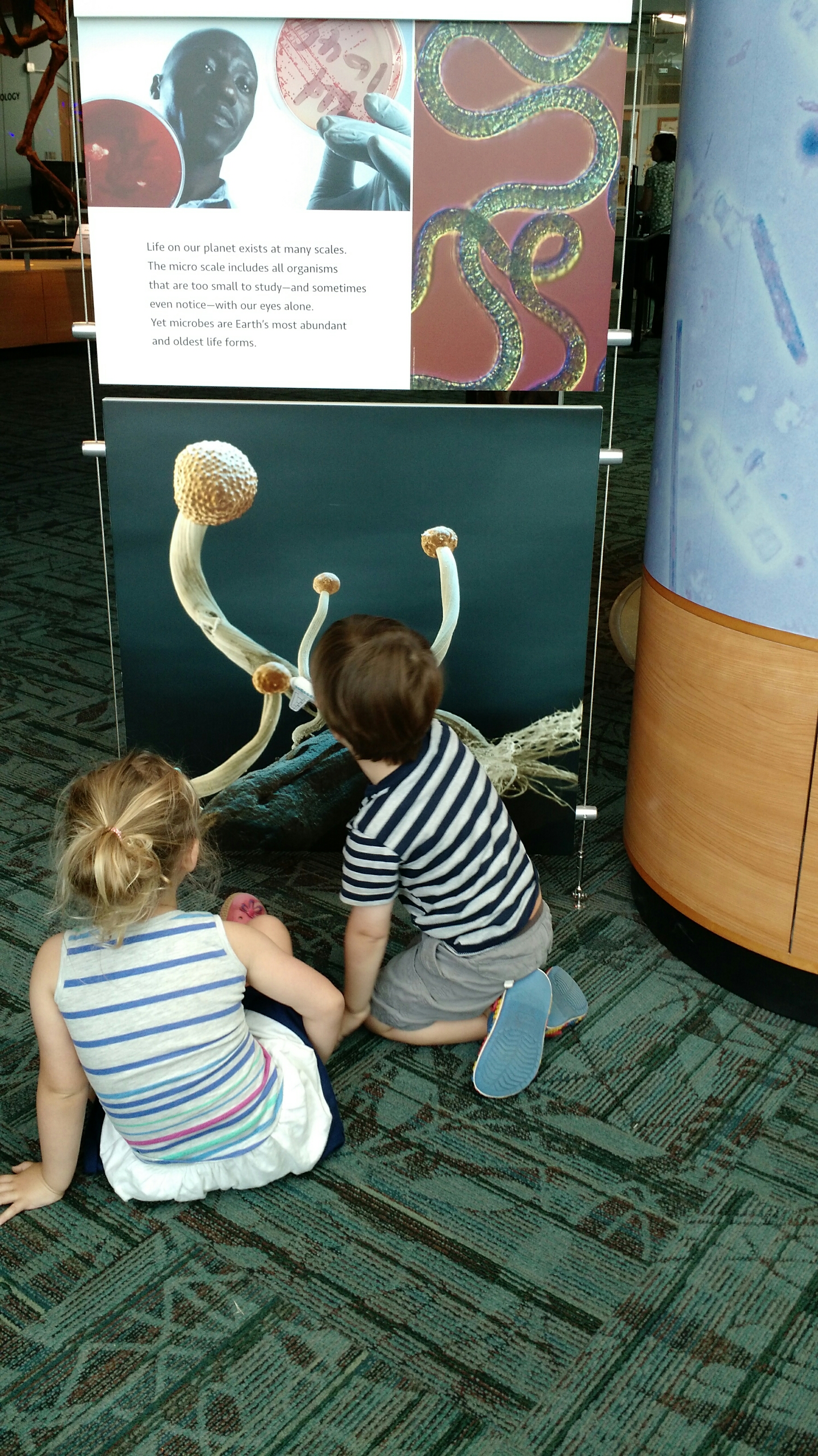 Natural history