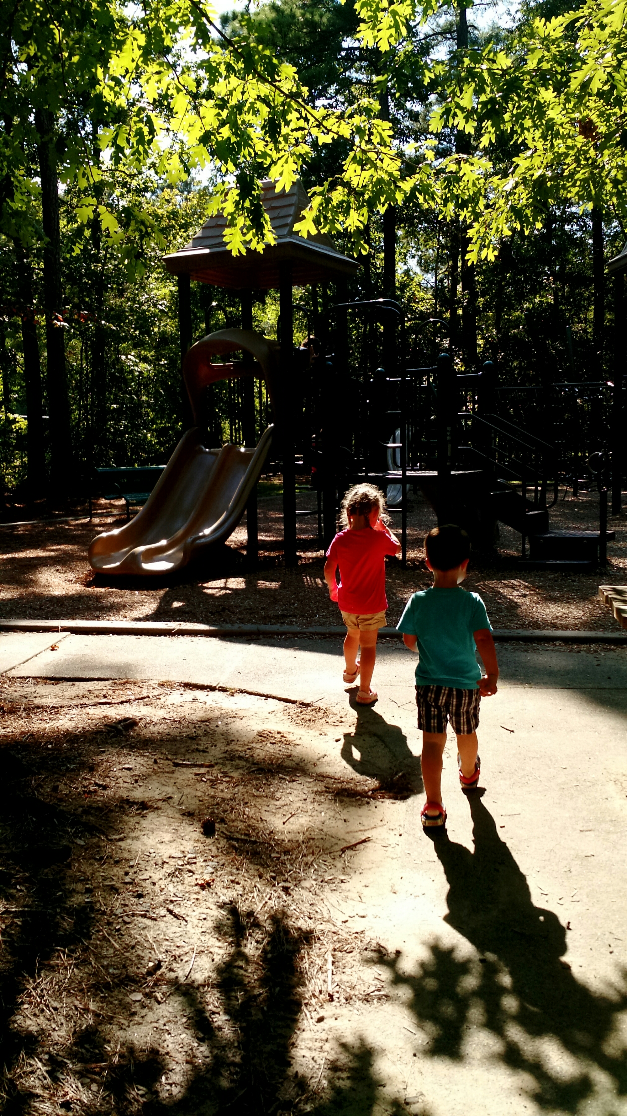 Shady park