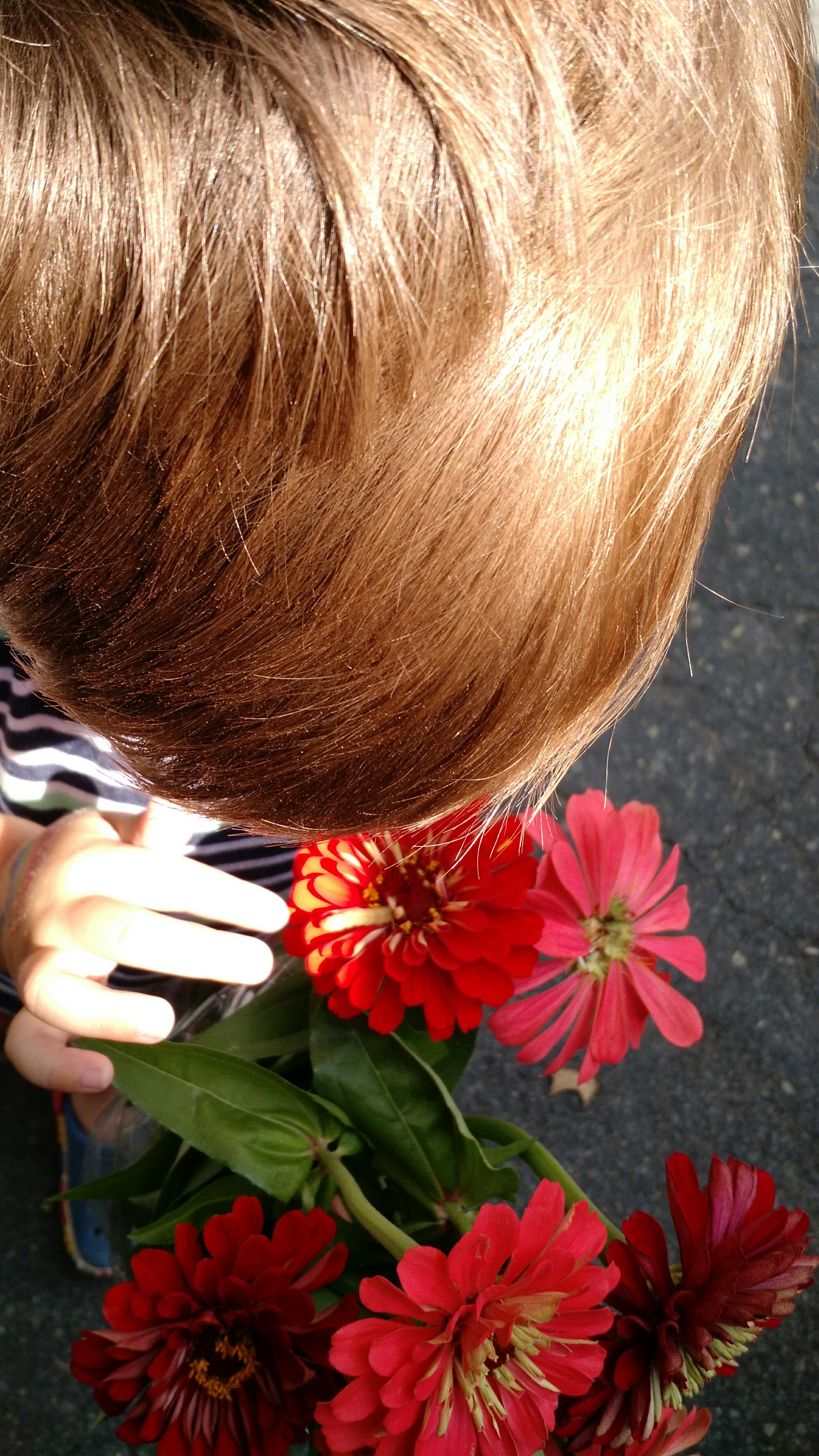 Flower guest