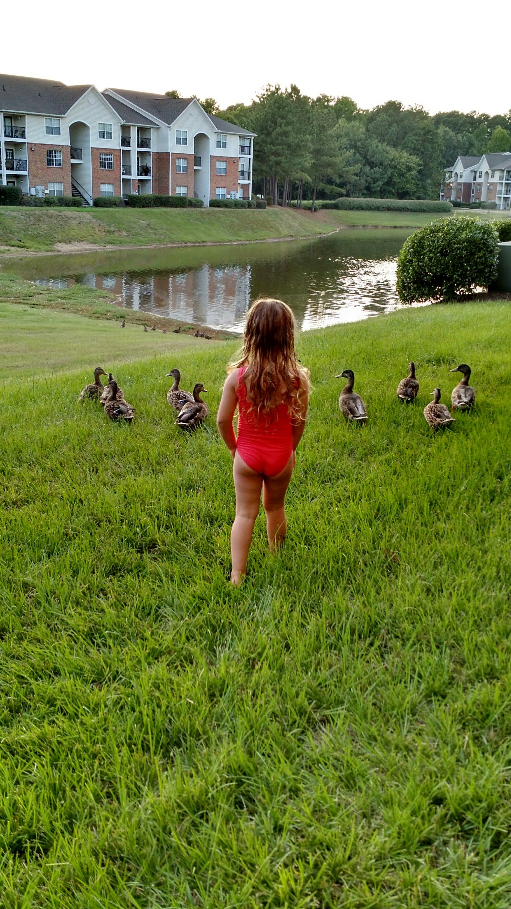 Birds of a&nbsp;feather