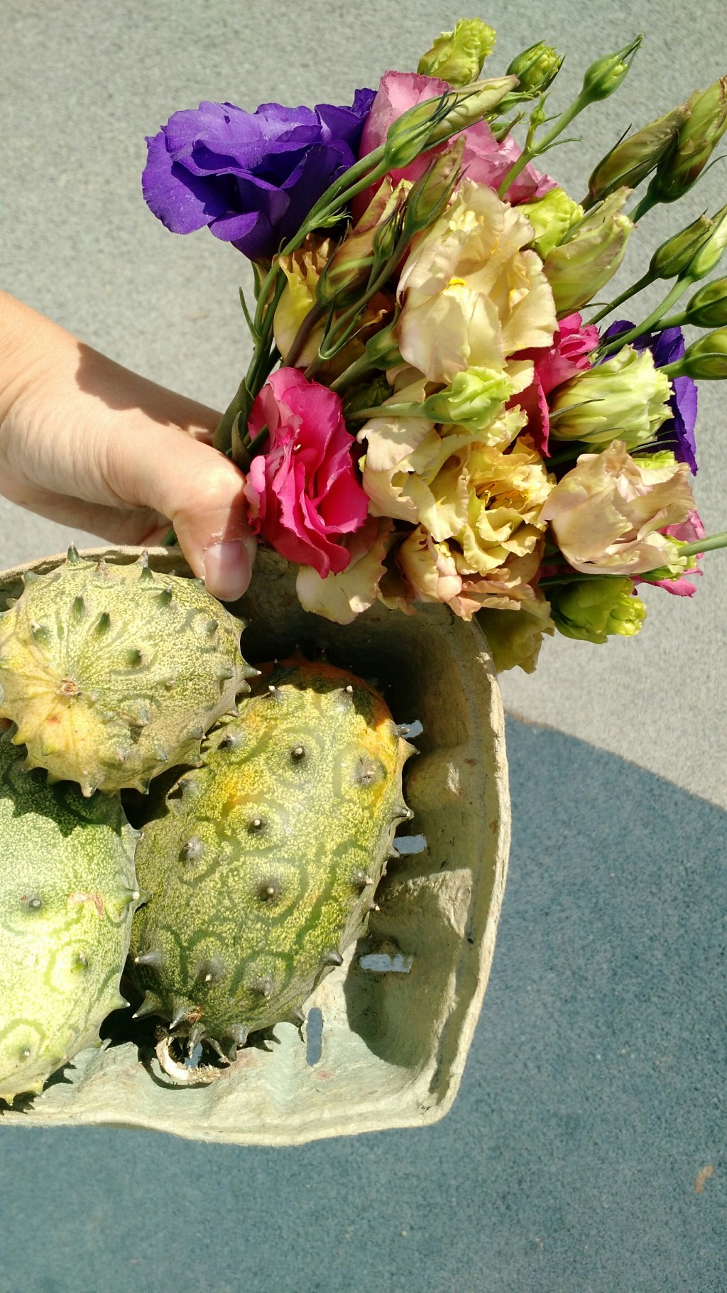 Today’s market haul