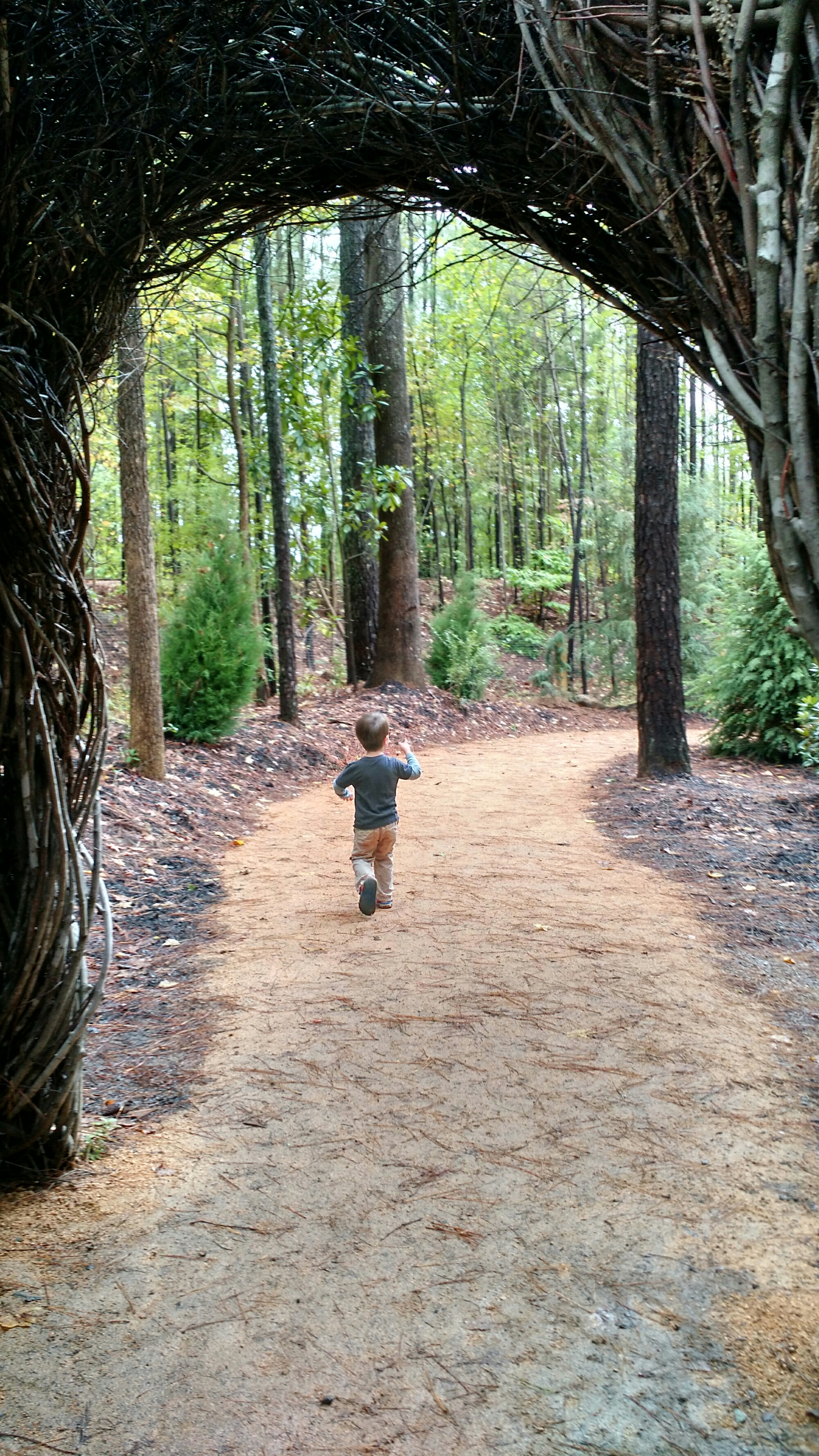 Hideaway woods