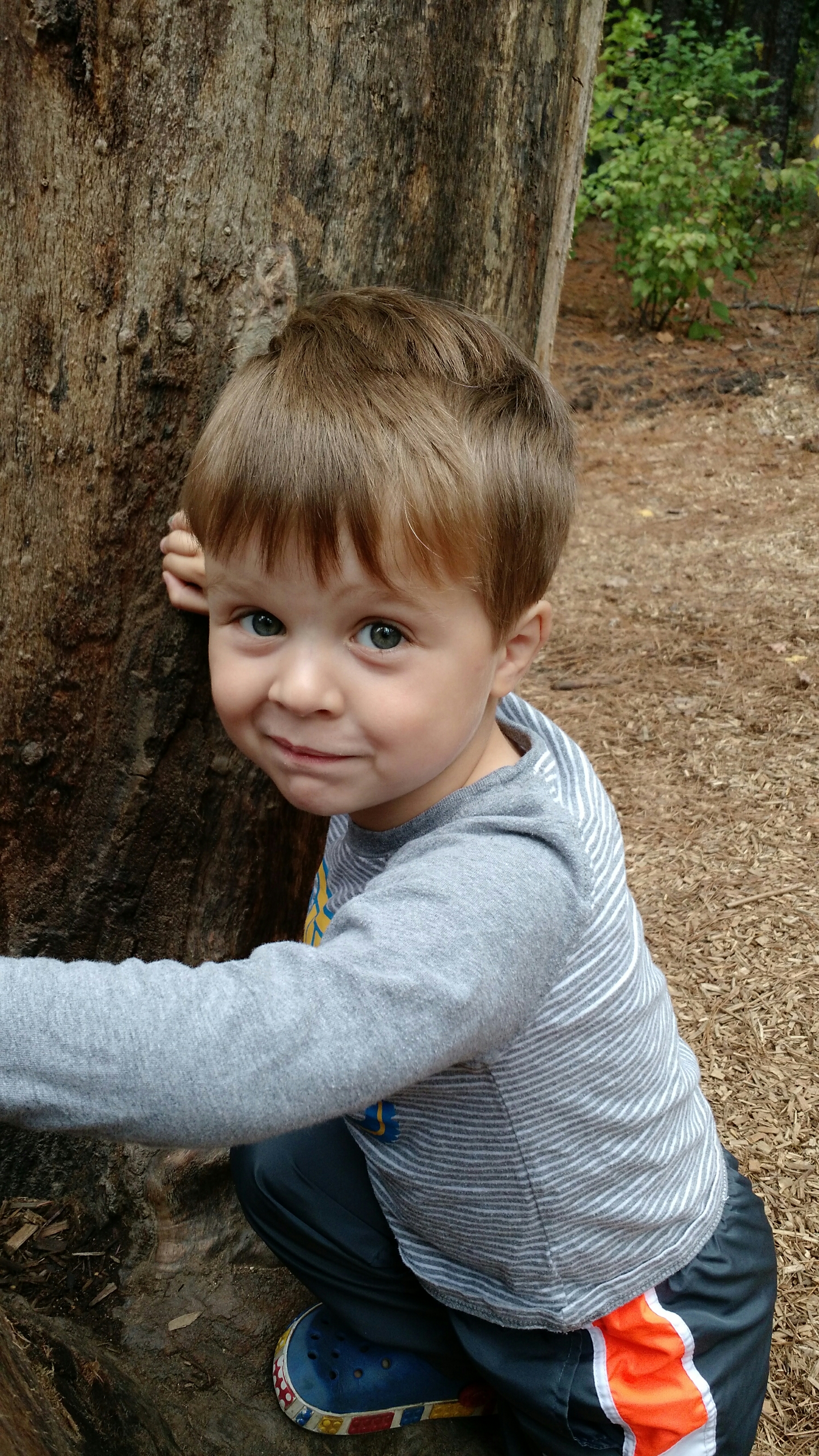 Little fella