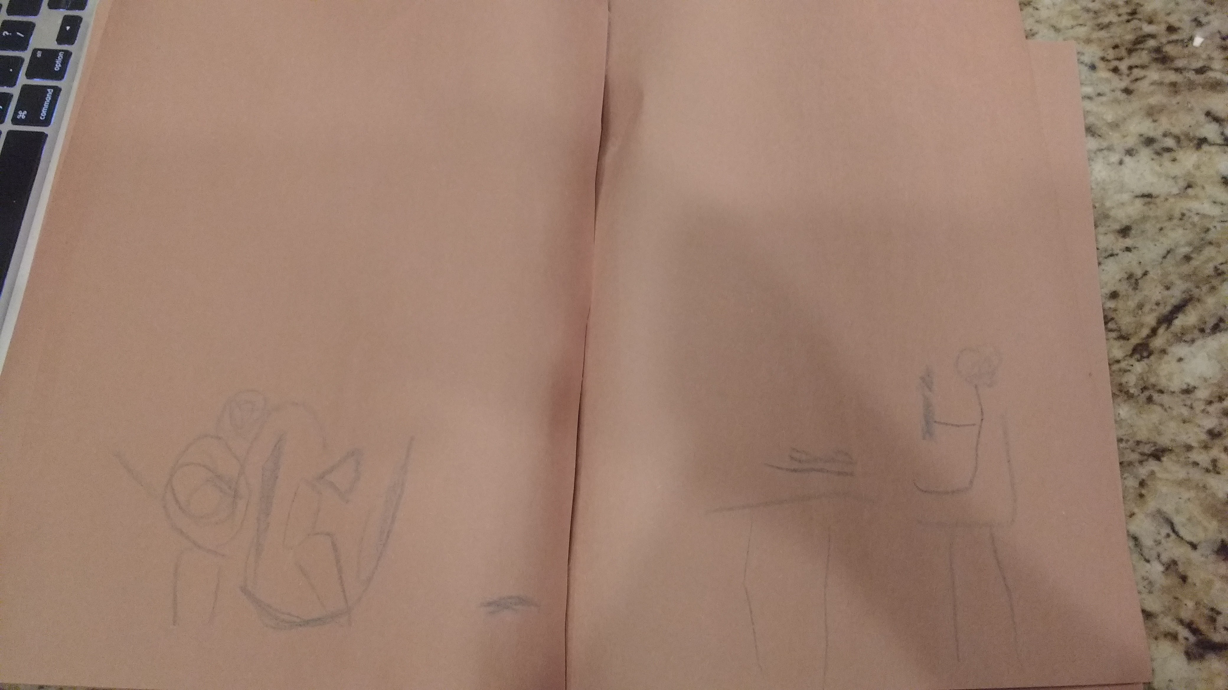 IMG_20170610_201658259