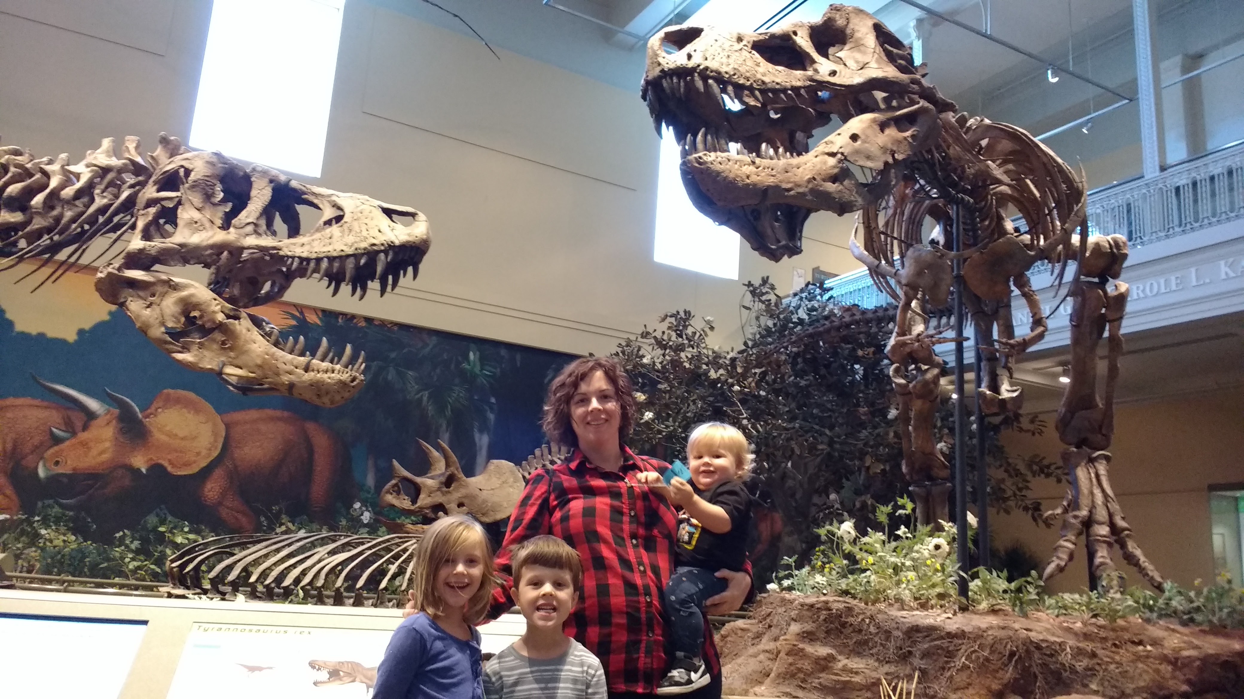 IMG_20171001_141445843