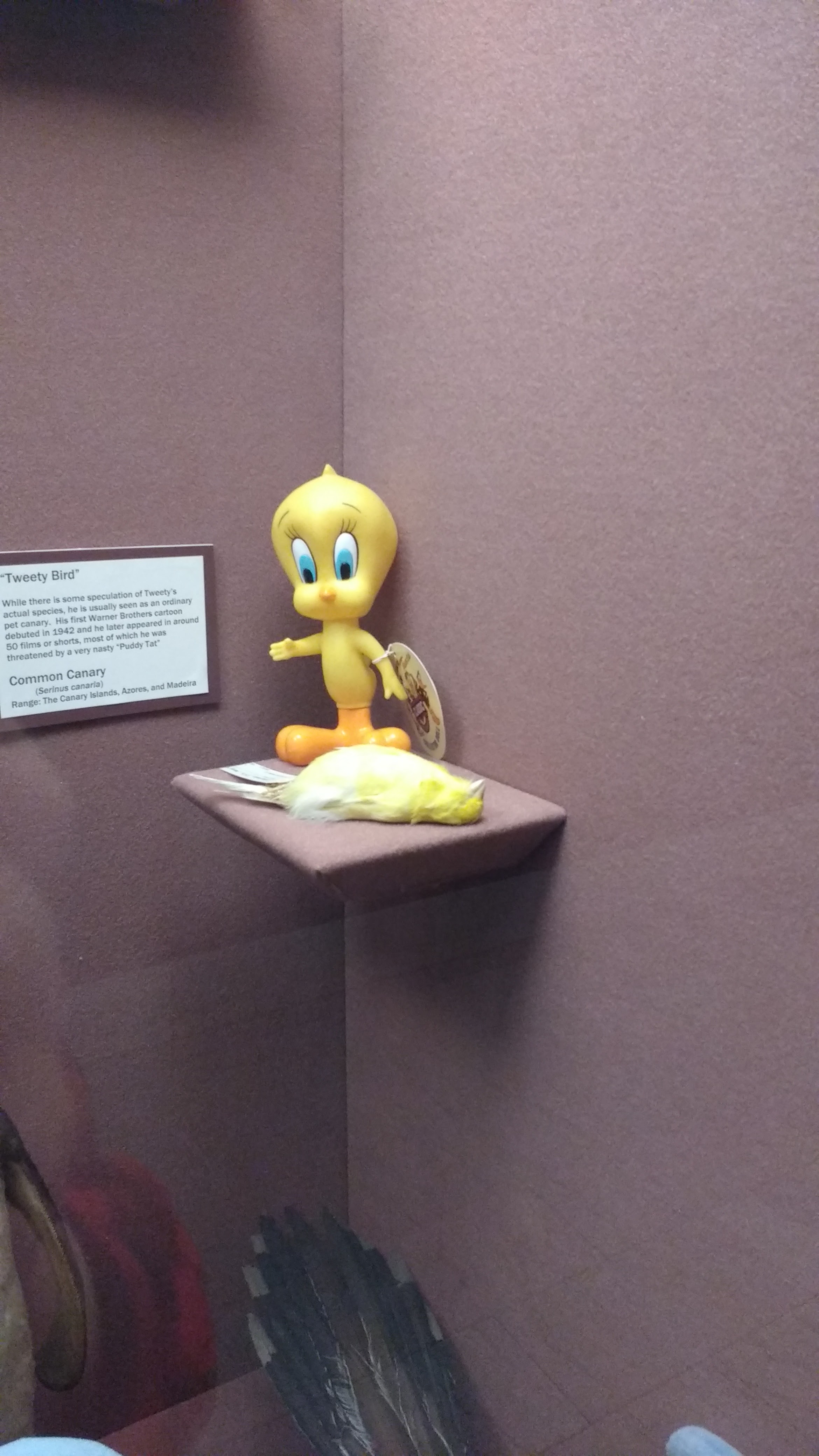 IMG_20171001_150316267