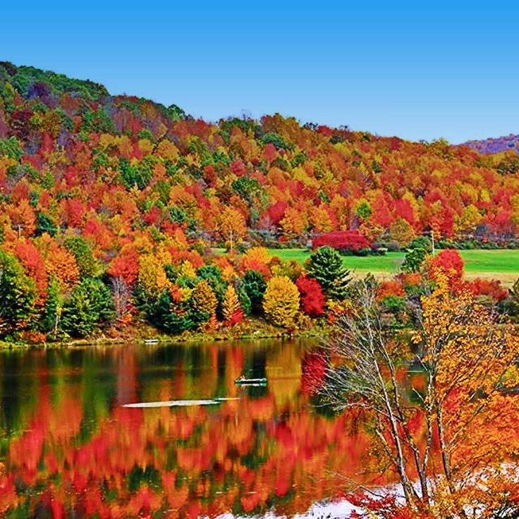 8978ecd3e6a100a585a4dfb8fa8e8c45-fall-back-in-the-fall