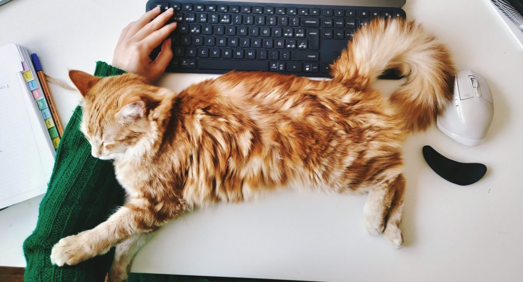 Engineering Happiness in Public Support&nbsp;Channels